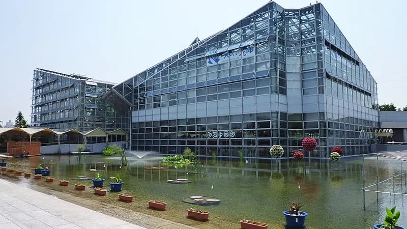 사쿠야 코노하나 관