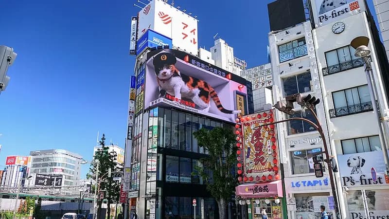 크로스 신주쿠 비전