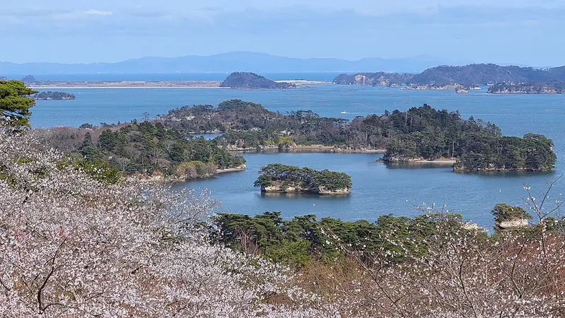 사이교 모도시노마츠 공원