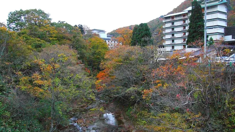 사쿠나미 온천